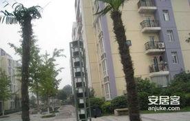 鑫苑都市爆料最新消息,揭秘项目进展与未来规划  第2张